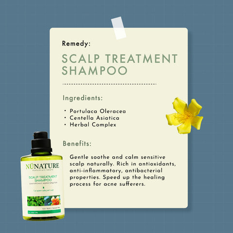 Nunature Hair Shampoo 580mL (Scalp Treatment)