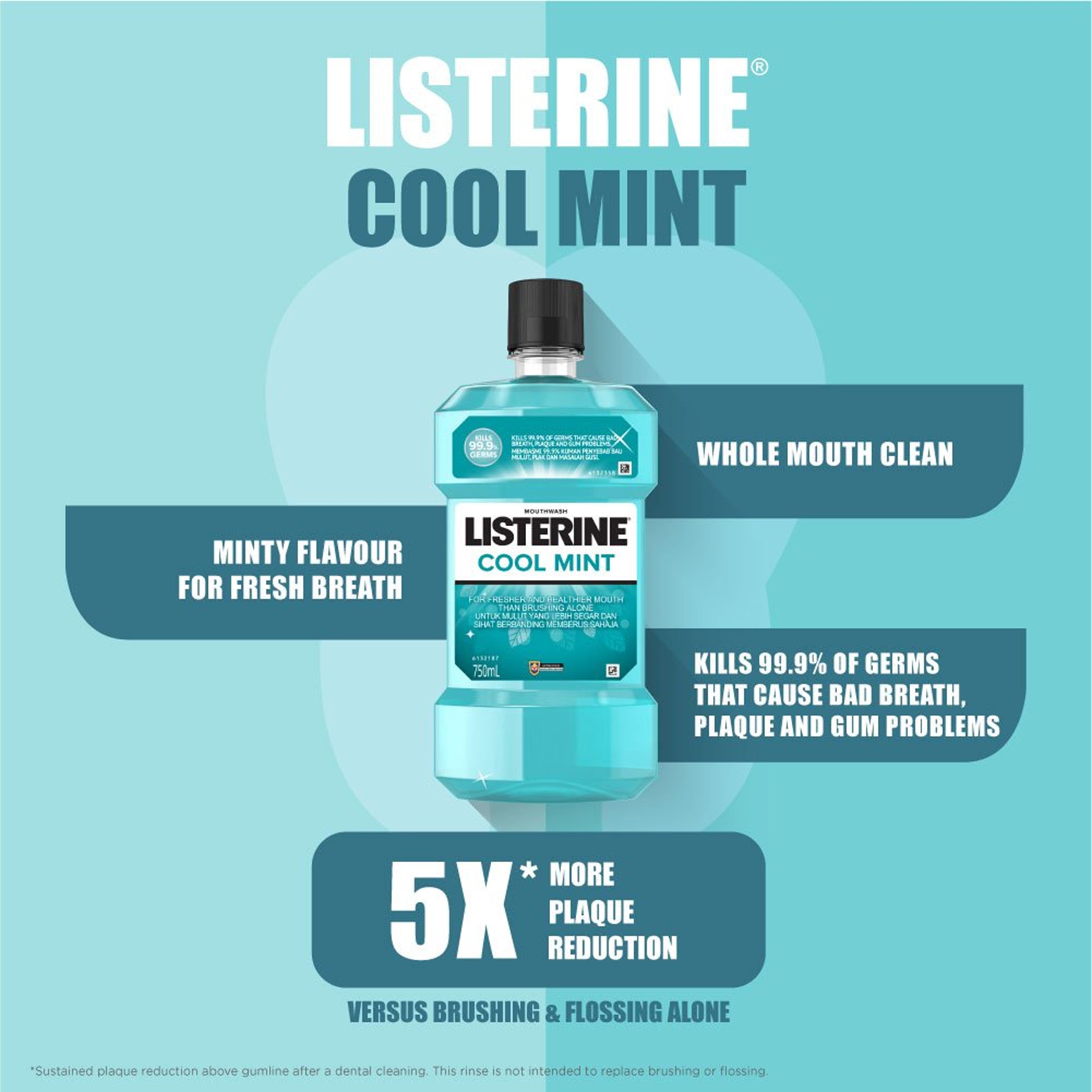 Listerine Mouthwash - Cool Mint 750mLx2's [Twinpack]