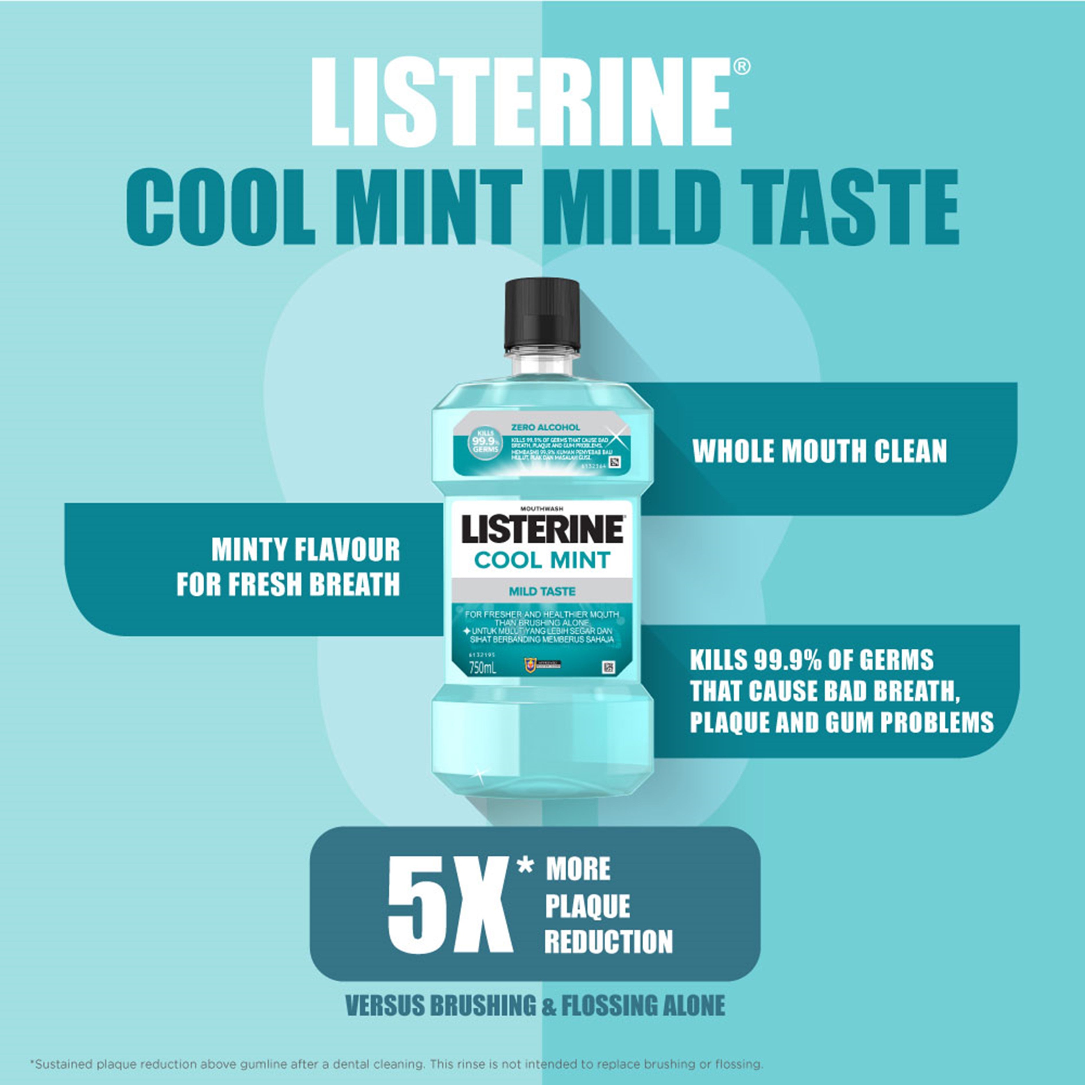 Listerine Mouthwash - Cool Mint (Mild Taste) 250mL