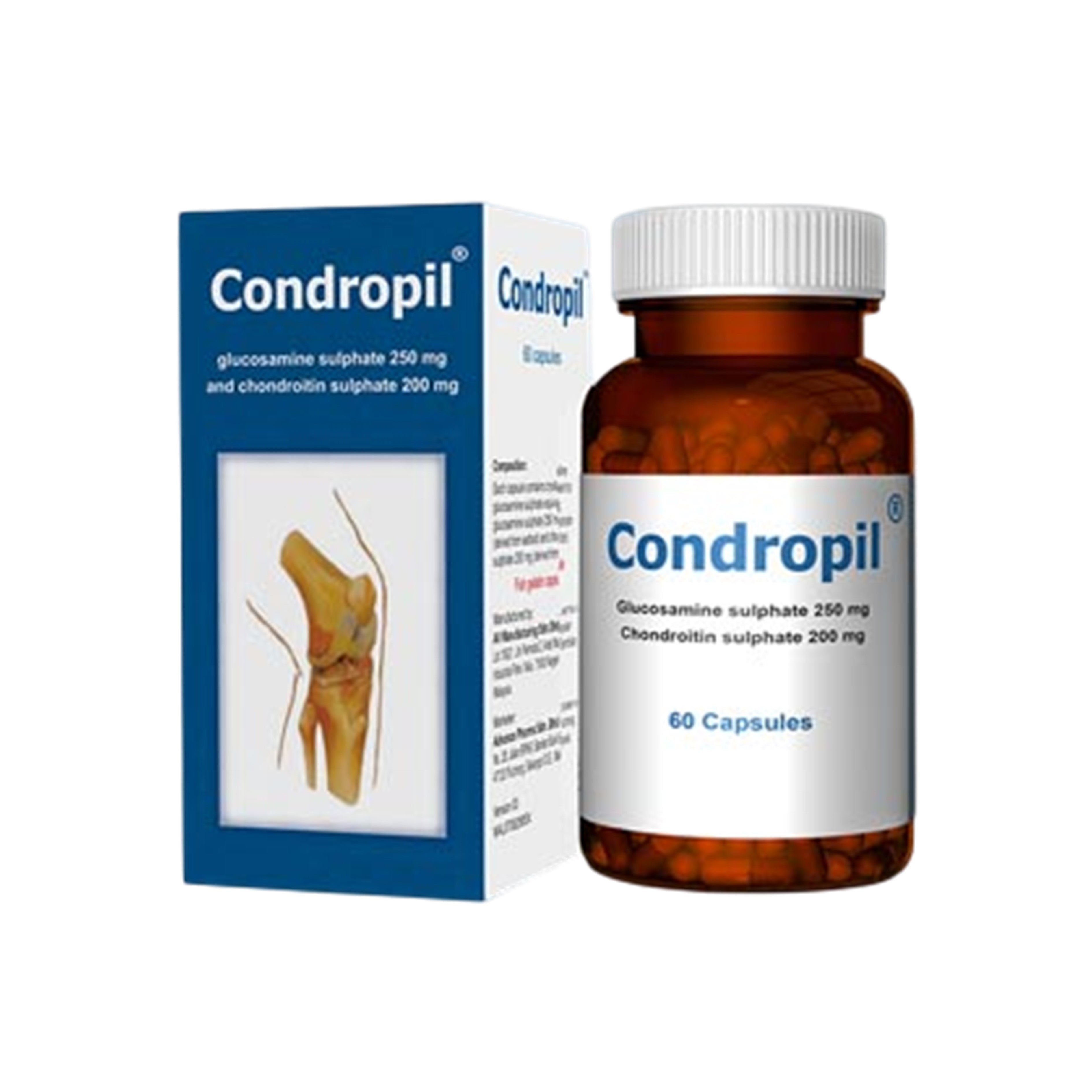 Condropil (Glucosamine 250mg + Chondroitin 200mg) Capsule 60's