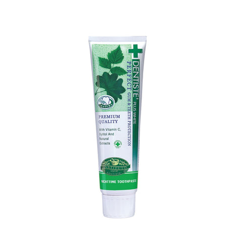 Dentiste' Plus White Nighttime Herbapeutic Toothpaste Tube 100g