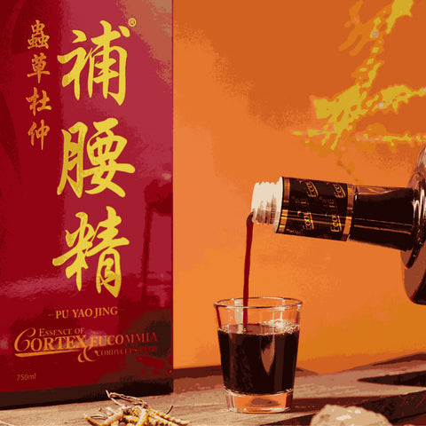 Ecolite Pu Yao Jing Essence Of Cortex Eucommia and Cordyceps Plus 750mL