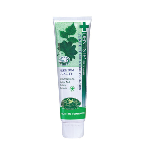 Dentiste' Plus White Nighttime Herbapeutic Toothpaste Tube 160g
