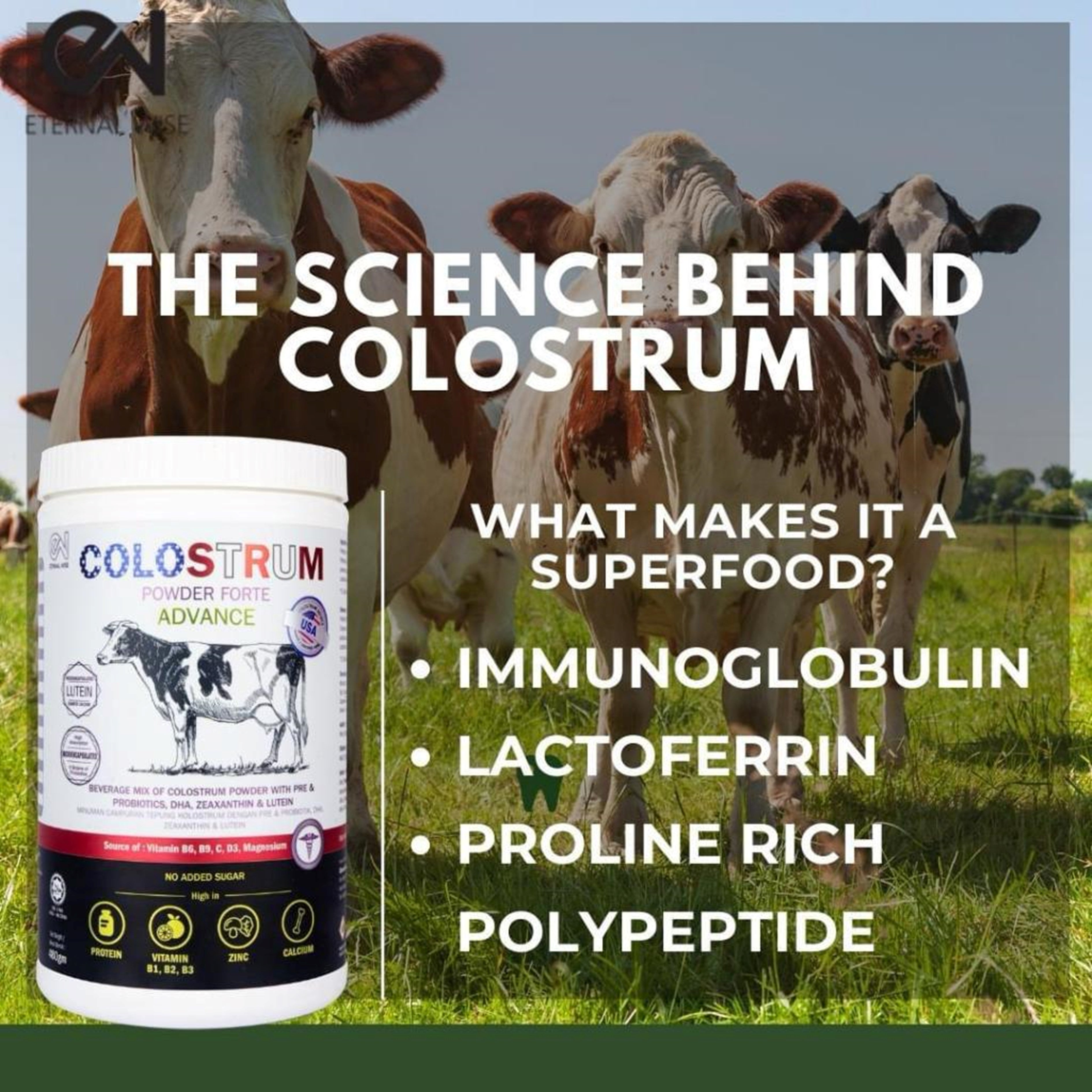 Eternal Wise Colostrum Powder Forte Advance 480g (USA Source)