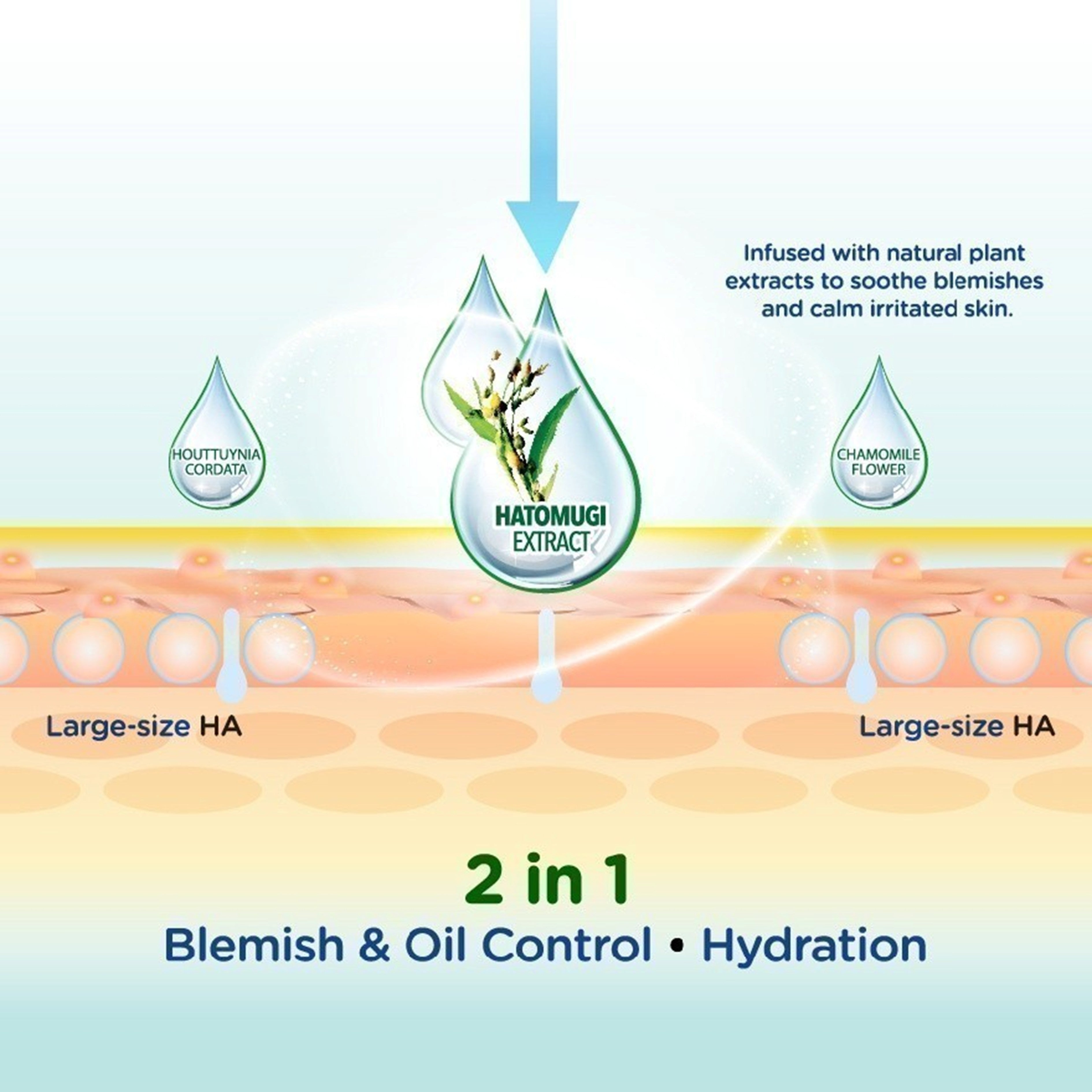 Hada Labo Blemish & Oil Control Hydrating Lotion 170mL