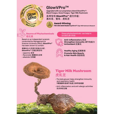 GoodMorning VPlus 18 Grains 850g [Improved Formulation]