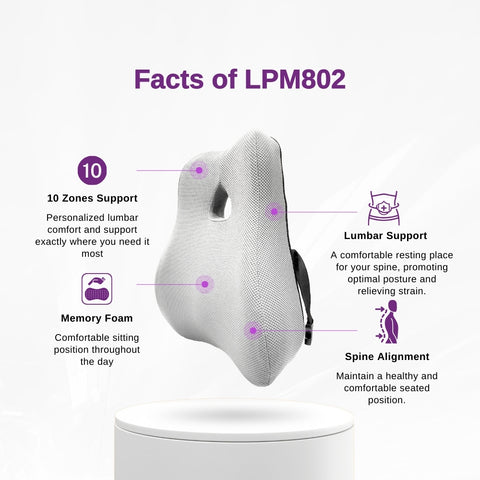 LPM 802 Lumbar Support Cushion 1's