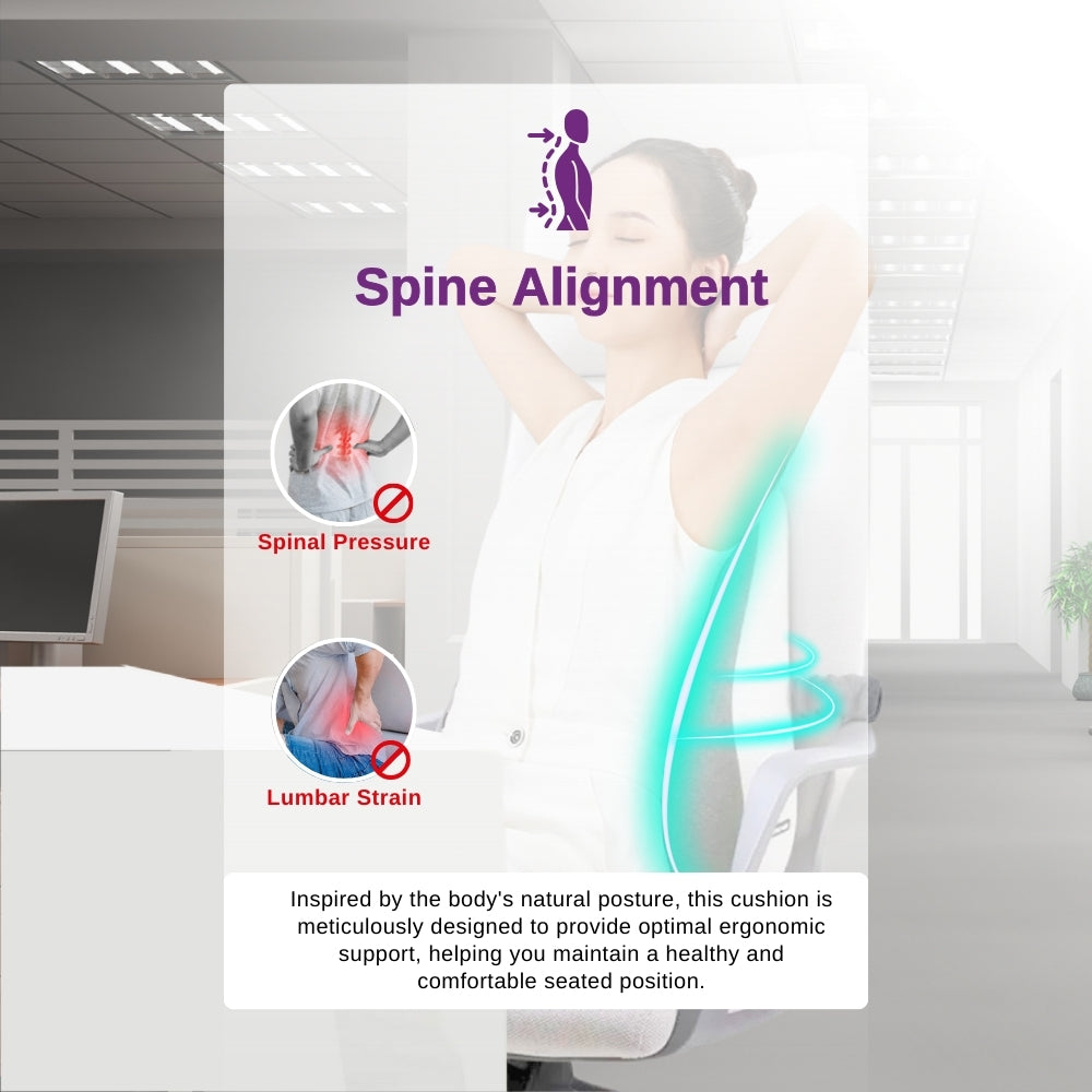 LPM 802 Lumbar Support Cushion 1's