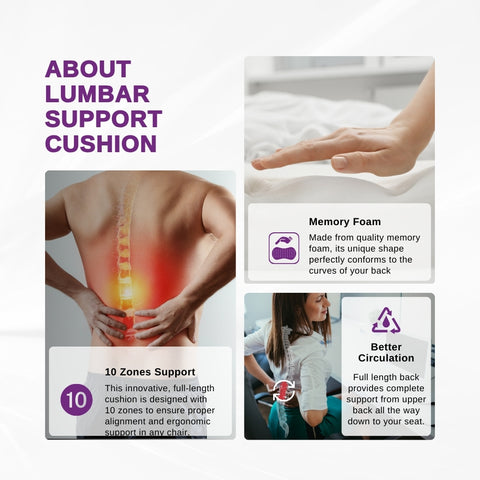 LPM 802 Lumbar Support Cushion 1's