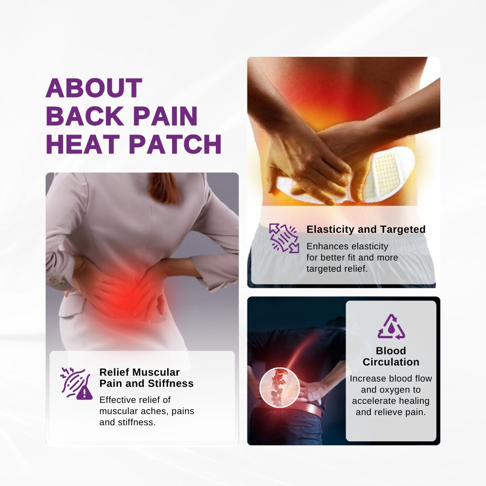 LPM Heat Patch (Back Pain Relief) 2's