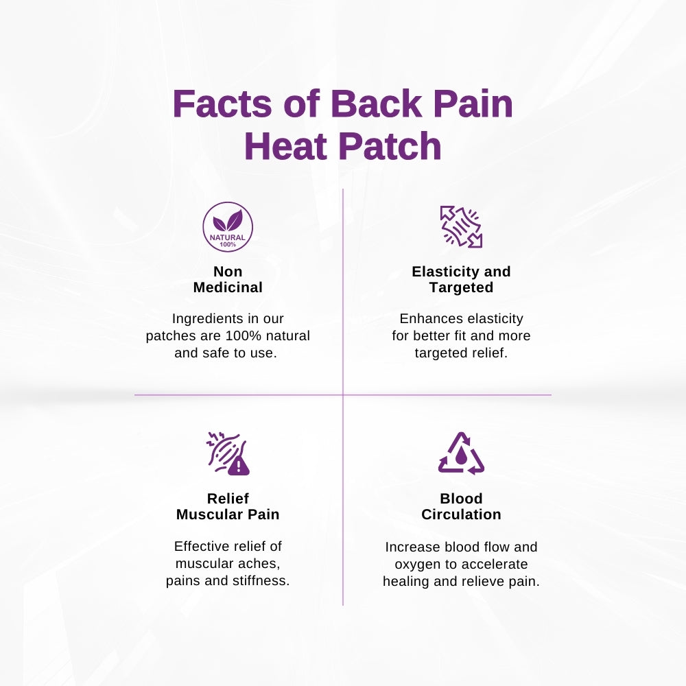 LPM Heat Patch (Back Pain Relief) 2's