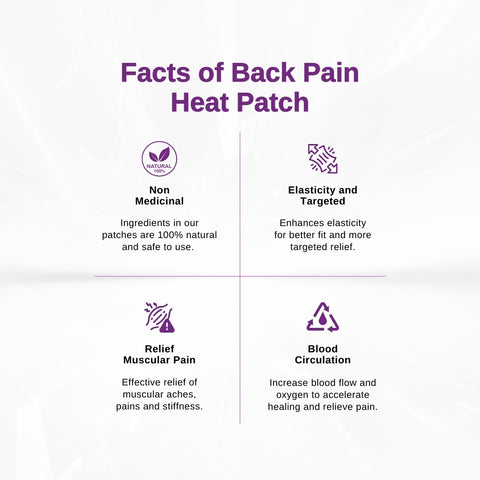 LPM Back Pain Relief Heat Patch 2's