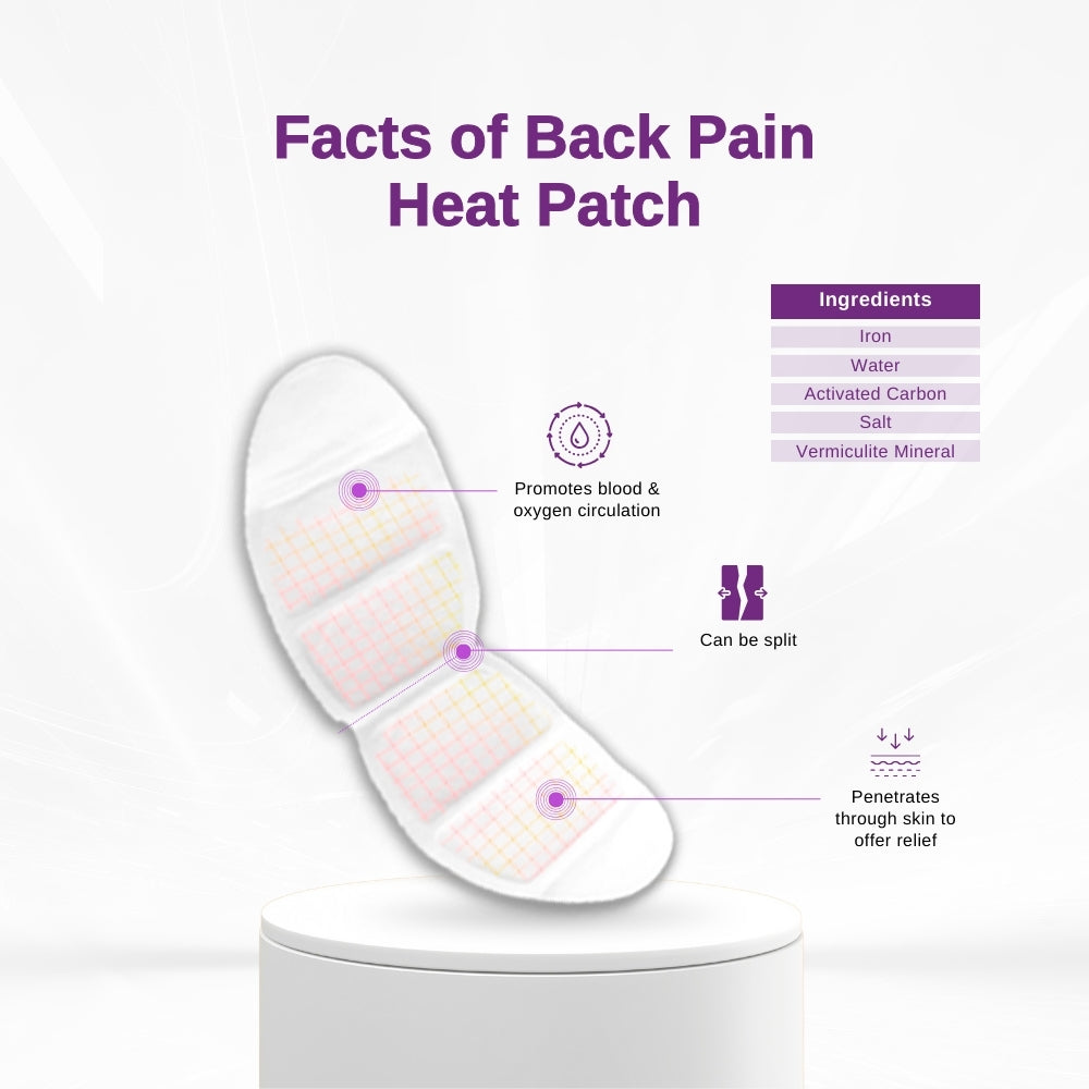 LPM Heat Patch (Back Pain Relief) 2's
