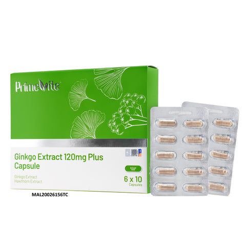 PrimeVite Ginkgo Extract 120mg Plus 6 x 10's