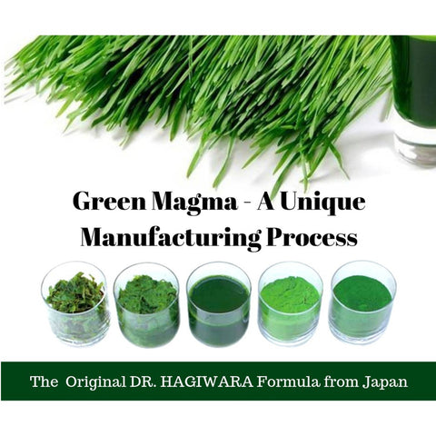 Green Foods Green Magma 250mg Chewable Tablet 500's