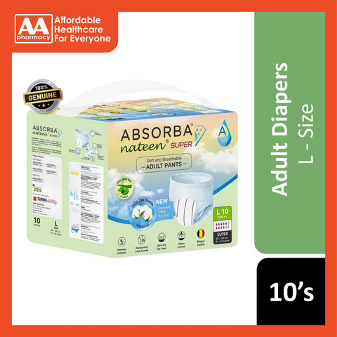 Body 4 2024 ans absorba